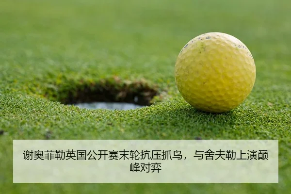 xie-ao-fei-lei-ying-guo-gong-kai-sai-mo-lun-kang-ya-zhua-niao-yu-she-fu-lei-shang-yan-dian-feng-dui-yi-3-229.jpg